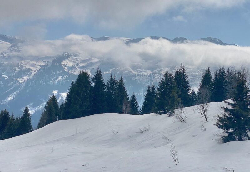 Val d'Arly, France. Image © PlanetSKI